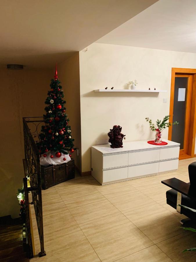Casa Central Luxury Oradea Eksteriør billede